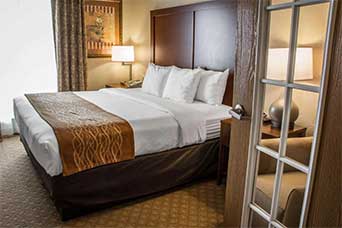 Comfort Suites Sea World Lackland